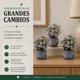 thumbnail image 2 of Set 3 Plantas Artificiales Flores Velo de Novia Decoracion purpura, 2 of 6