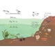 thumbnail image 4 of Libro Anatomía del océano: Las curiosas partes y piezas del mar, 4 of 5