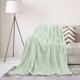 thumbnail image 1 of Manta de Cama de Lujo de Forro Polar PiccoCasa Tejido de Malla Twin-XL Verde Pálido, 1 of 7