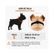 thumbnail image 2 of Bozal Perro Braquicéfalo S Pug Bulldog Francés 6-9kg, 2 of 9
