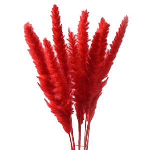 Bothyi - 15X Boda De Caña De Fragmitas De Hierba De Pampa Seca Artificial