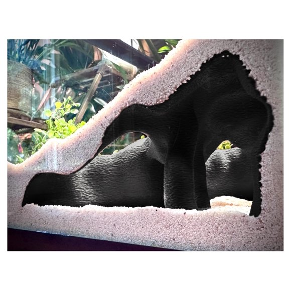 Refugio para Acuario FROSTO 19 cm Raíz de Manglar Color Carbón
