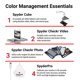 thumbnail image 3 of Herramientas de gestión del color Kit de foto/vídeo Datacolor Spyder, 3 of 9