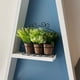 thumbnail image 2 of Plantas en Canasto Metalico 28 cm, 2 of 2