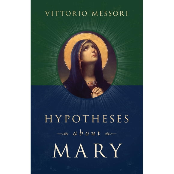 Libro Hypotheses About Mary De
