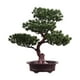 thumbnail image 3 of Planta De Maceta De árbol De Bienvenida Artificial Bonsai Versátil Para Hall Vestibule Style C, 3 of 5