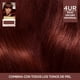 thumbnail image 5 of Coloración Cabello Sin Amonico 4Ur Rojo Oscuro Universal, 5 of 6