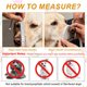 thumbnail image 3 of Bozal para Perros, Bozal de Malla Suave Ajustable Cubierta de Boca Transpirable, (Azul, S), Destinado para Anti Mordeduras Masticación/Cachorros Pequeños Medianos Grandes/Aseo/Permite Jadear Beber, 3 of 7