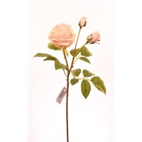 Vadell - Rosa Rosada Clara 59 Cm