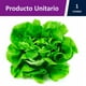 thumbnail image 2 of Lechuga Española Bolsa, 1 Un, 2 of 2