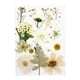 thumbnail image 5 of 1 Bolsa De Flores Prensadas Secas, Hojas Secas De Pétalos Reales Para Manualidades, Calcomanía Blanca, 5 of 5