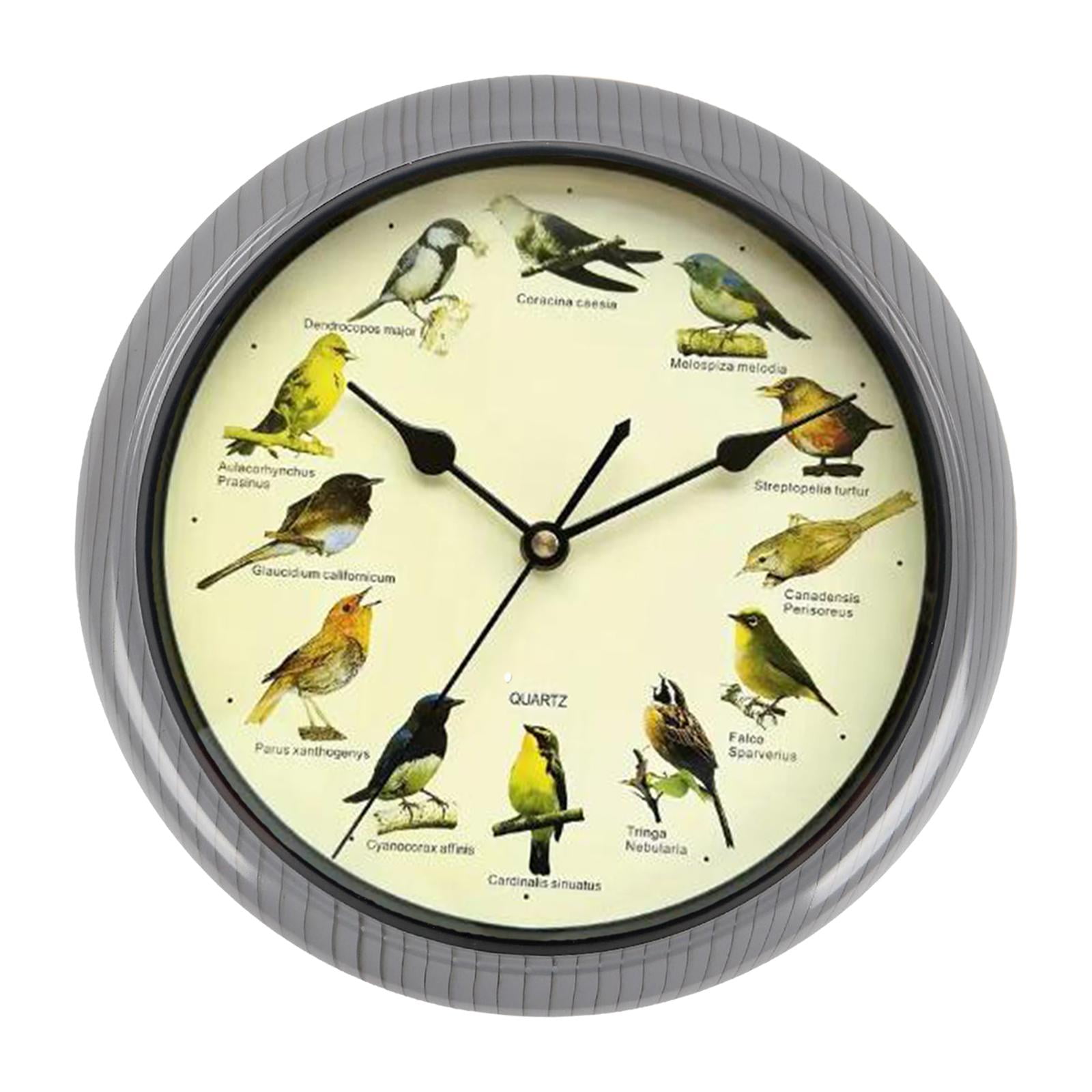 Magideal - Reloj De Pared Con Pájaro Cantor, Decoración De Habitación, Reloj De Melodía Versátil, Funciona Con Pilas, Para Bares, Cafeterías, Regalo De Inaugurac Gris 25cm