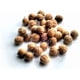 thumbnail image 2 of Semilla de Cilantro 500gr, 2 of 2