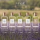 thumbnail image 3 of Perfume RALPH LAUREN FRAGRANCES Polo Earth Eau de Toilette 100 ml, 3 of 4