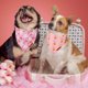 thumbnail image 3 of ADOGGYGO Pañuelos rosados de Halloween para perros, con fantasmas y calabazas, 3 of 3