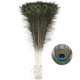 thumbnail image 1 of Plumas de pavo real, 25 unidades, 80-90 cm, para decoración de jarrones, 1 of 7