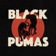 thumbnail image 1 of Disco de vinilo UNIVERSAL MUSIC GROUP Black Pumas Cream LP, 1 of 1