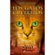 thumbnail image 1 of Los Gatos Guerreros La Nueva Profecia Aurora, 1 of 2