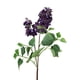thumbnail image 2 of Lila Morada 85cm Con Acabado Natural, 2 of 3