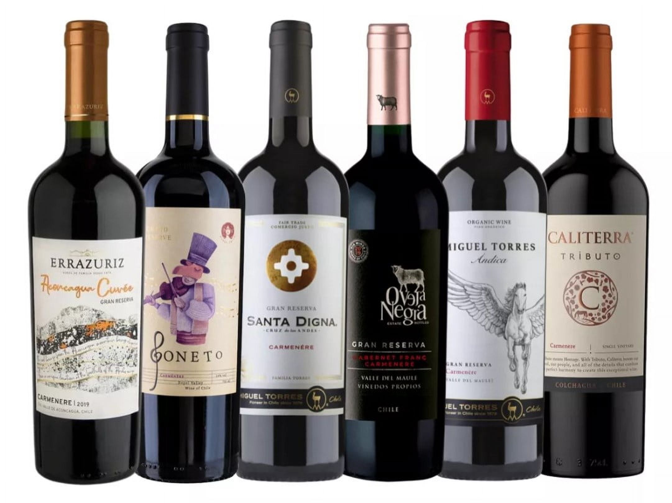 Bebestibles Cl Spa - Pack 6X Vinos Gran Reserva Carmenere Mix