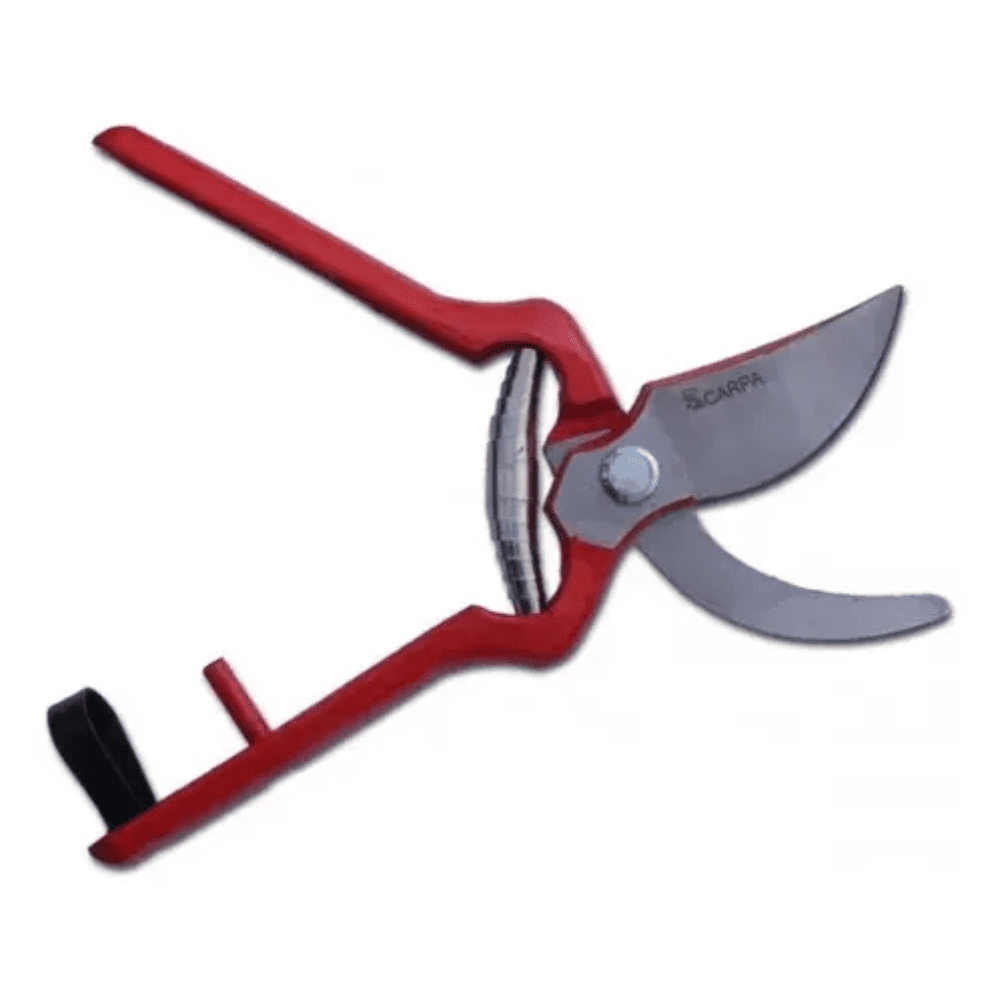 Tijera Carpa Podar Forjada N 01a24l 24 Cms.