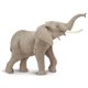 thumbnail image 1 of Figura de elefante africano Safari Ltd., plástico, 20 cm, más de 3 años, 1 of 6