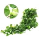 thumbnail image 4 of Plantas colgantes falsas CEWOR, vid de hiedra falsa, 1,1 m, para decoración, 4 of 6