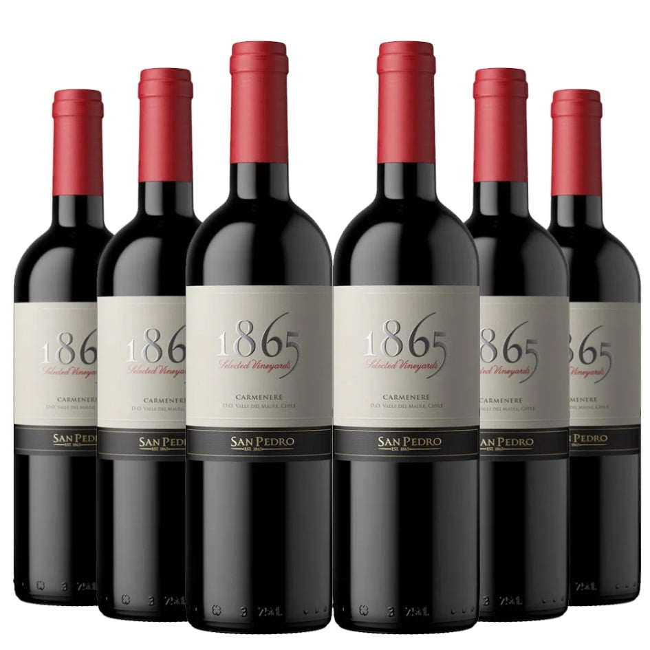 6 Vinos 1865 Carmenere, 750 Ml, 14.5%