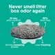 thumbnail image 3 of Arena para gatos Boxiecat de arcilla con aroma suave 12,5 kg, 3 of 6