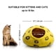 thumbnail image 3 of Lujoso estampado de guepardo de lana merino Cat Cave Woolygon, 3 of 6