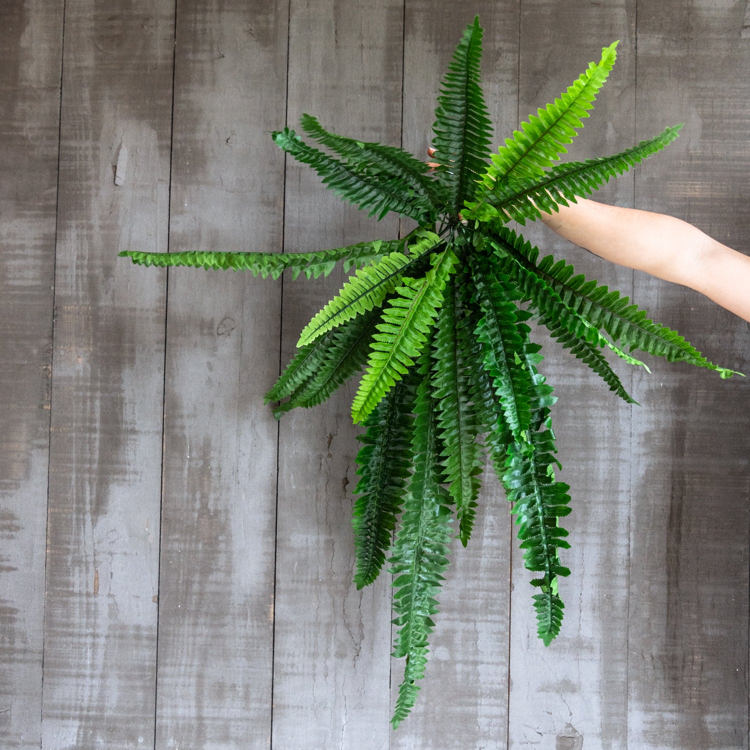 Vadell Home - Helecho Boston De 85 Cm.