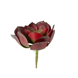Corel - Suculenta Roja 16Cm Con Detalles Increíbles