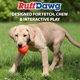 thumbnail image 5 of Juguete para perro Ruff Dawg Cube XL de goma resistente para masticar, 5 of 8