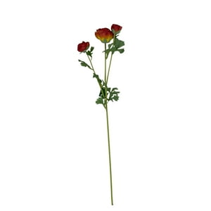 Corel - Ranúnculo Rojo 73Cm Con Textura Realista