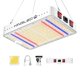 thumbnail image 1 of Luces LED de cultivo KingLED KP1000 de espectro completo de 2 x 2 pies, 1 of 6