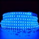 thumbnail image 1 of Tira De Luz Para Sauna Superlightingled 24v Led Azul De 5 M, 1 of 7