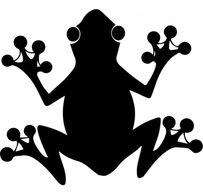 Rienda Libre Graphics - Decomural Frog Reptile Animals Ws-32726