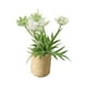 thumbnail image 2 of 1/12 Simulación De Adorno De Bonsái De Flores En Miniatura Para Decoración De Patio Blanco, 2 of 5