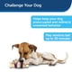 thumbnail image 4 of Juguete para perros PetSafe Busy Buddy Bristle Bone, 4 of 6
