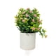 thumbnail image 1 of Planta Artificial Flores Maceta Decorativa Base Plastico R, 1 of 1
