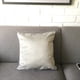 thumbnail image 2 of FUNDA COJIN DECORATIVO DISEÑO SUAVE GRIS 60x60, 2 of 2