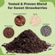 thumbnail image 4 of Sustrato para macetas PERFECT PLANTS 3,8 L Mezcla de fresa, 4 of 6