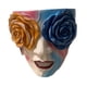 thumbnail image 3 of Macetero Con Cabeza De Arco Iris Macetero Con Cara Divertida Macetas Con Flores Eclécticas Maceta, 3 of 5