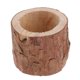 thumbnail image 1 of Tocón De árbol Florero De Madera Plantas Suculentas Bonsai Pot Candelabro M, 1 of 5