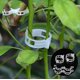 thumbnail image 2 of Tomato Clips BLOWING, 150 unidades, para soporte de plantas, jardín y vid., 2 of 9