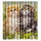 thumbnail image 1 of Cortina de ducha con diseño de gatos vintage y ganchos, tamaño 66 x 72 pulgadas, 1 of 3