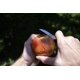 thumbnail image 5 of Cuchillo Spyderco K09PBK con Hoja de Acero Inoxidable de 5.7 cm, 5 of 6
