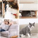 thumbnail image 4 of Cinta de entrenamiento antiarañazos para gatos, 100 mm x 30 yardas, almohadilla protectora para muebles de gato, almohadilla protectora transparente de doble cara para sofá de gato, cinta para patas, 4 of 8