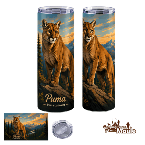 Vaso Térmico, El Señor de los Andes