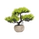 thumbnail image 5 of Árbol Bonsái Artificial Árbol Bonsái Falso Para Sala De Estar Inauguración De La Casa Escritorio Verde Claro, 5 of 5